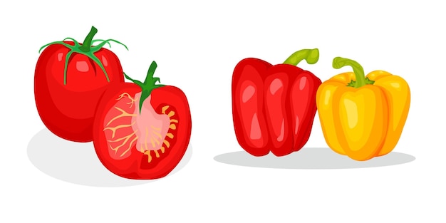 illustrazione vettoriale di pomodori rossi e peperoni gialli isolati su bianco