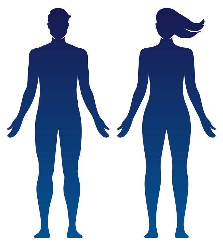 Vettore illustrazione vettoriale di sagoma del corpo di uomo e donna