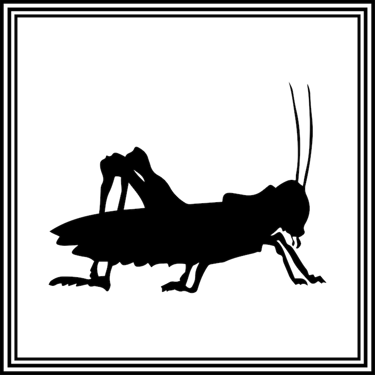 Vettore illustrazione vettoriale di small grasshopper
