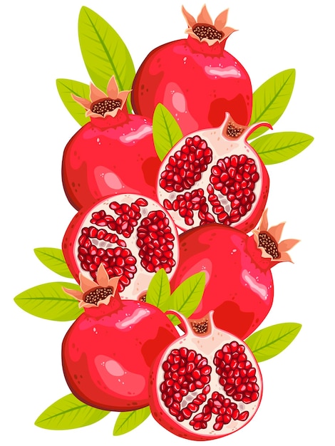 Illustrazione vettoriale di un frutto di melograno maturo e succoso sullo sfondo bianco isolato