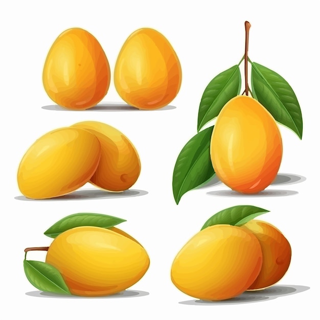 Illustrazione vettoriale di un mango con una sezione ritagliata che mostra il seme