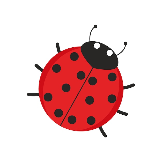 Illustrazione vettoriale di una coccinella da rosso a punto nero con testa e antenne