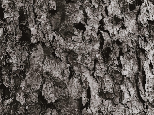 Illustrazione vettoriale di una corteccia di rowan in primo piano Texture del tronco di Sorbus torminalis L Scenario di legno vivo Pelle di natura forestale