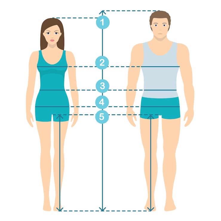 Vettore illustrazione vettoriale di uomo e donna in piena lunghezza con le linee di misura dei parametri del corpo. misure di misure uomo e donna. misure e proporzioni del corpo umano. design piatto.