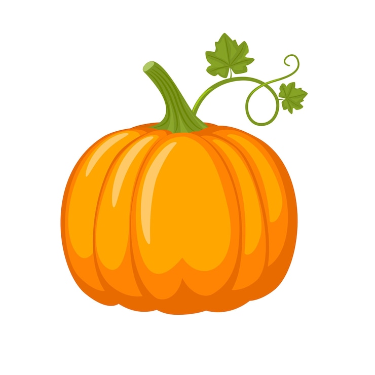 Vettore illustrazione vettoriale di zucca