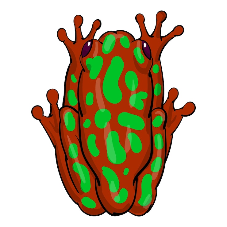 Vettore illustrazione vettoriale disegnata a mano di raganella isolata su sfondo bianco