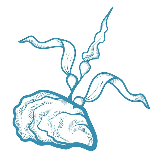 Illustrazione vettoriale disegnata a mano di un'ostrica con alghe