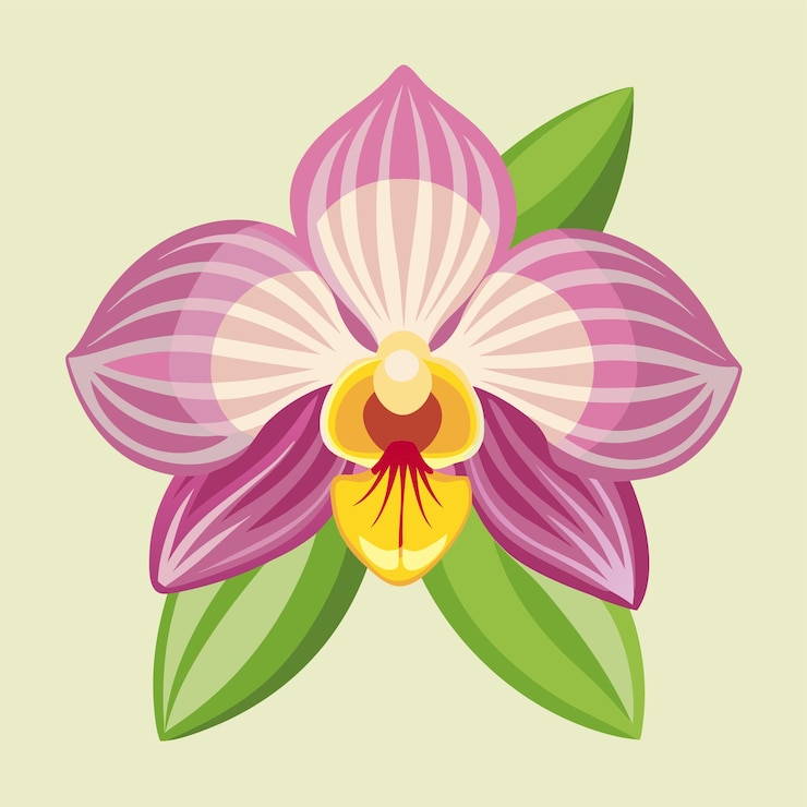 Vettore illustrazione vettoriale in stile cartone animato di fiori di orchidee