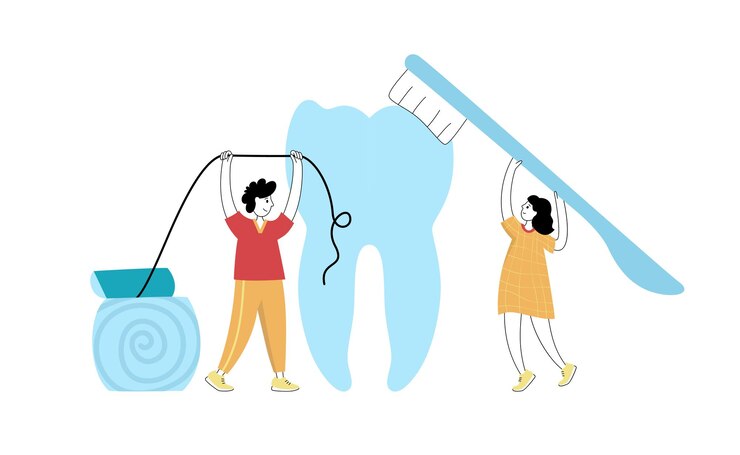 Illustrazione vettoriale isolata del dente e del medico che tengono lo spazzolino da denti. Concetto di pulizia dei denti