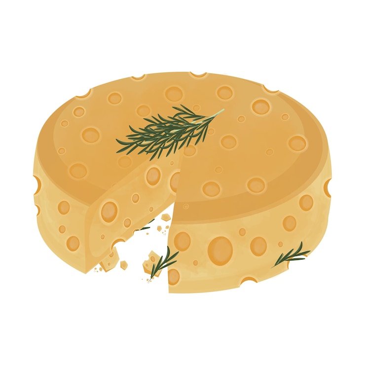 Vettore illustrazione vettoriale logo clipart formaggio svizzero emmental formaggio