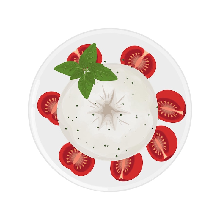 Vettore illustrazione vettoriale logo clipart top view burrata con pomodori e basilico