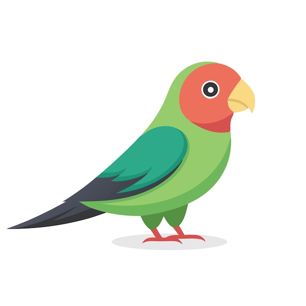 Illustrazione vettoriale piana isolata dell'animale Fischers Lovebird su sfondo bianco