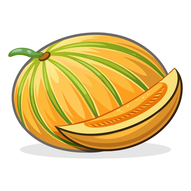 Illustrazione vettoriale piana isolata di melone muschio