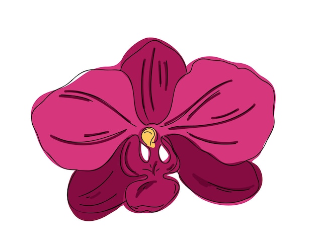 Illustrazione vettoriale piatta del fiore dell'orchidea