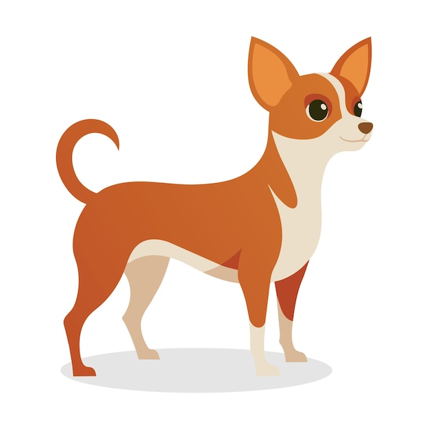Illustrazione vettoriale piatta dell'animale Chihuahua su sfondo bianco