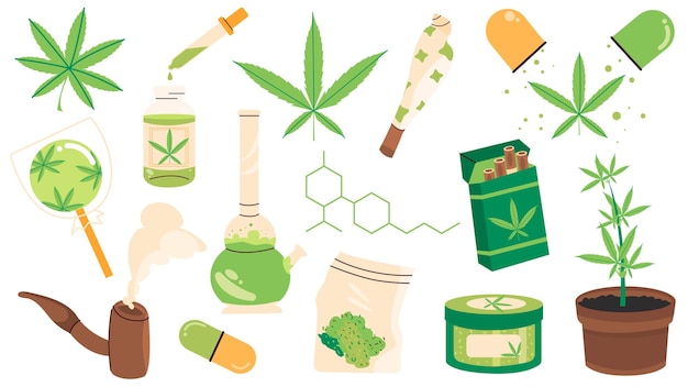 Illustrazione vettoriale piatta di erbe di cannabis Una serie di articoli di canapa