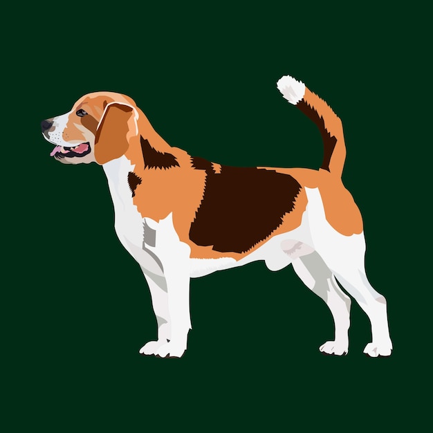 Illustrazione vettoriale Razza di cane Beagle