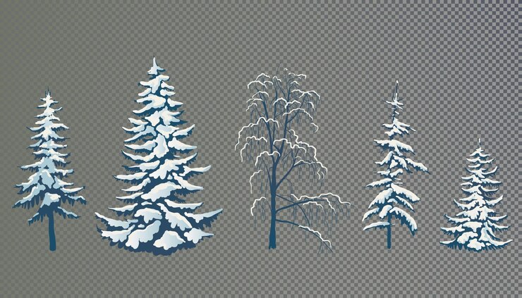 Vettore illustrazione vettoriale realistica di un abete rosso nella neve elementi per la scena natalizia