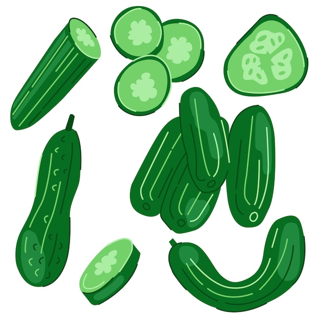 Illustrazione vettoriale semplice di verdure di cetriolo mature