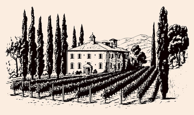 Illustrazione vintage in stile inciso di una villa con vigneti di cipressi e paesaggio rurale perfetto per cantine ed enoteche