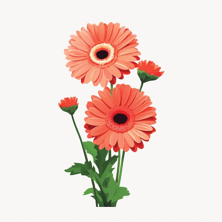 Vettore illustrazione vivace della margherita di gerbera arancione