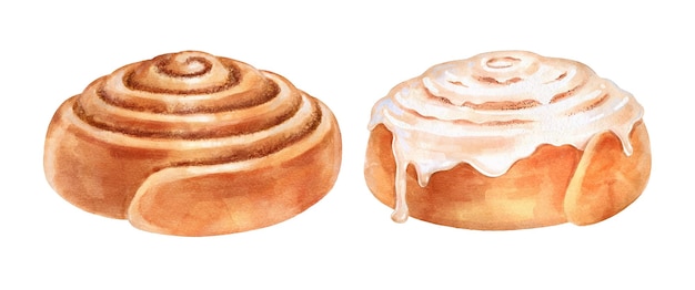 Illustrazioni ad acquerello di Cinnamon Rolls