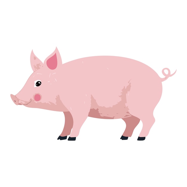 Illustrazioni di animali carine e divertenti Illustrazioni d'animali Animali Illustrazioni fatte a mano