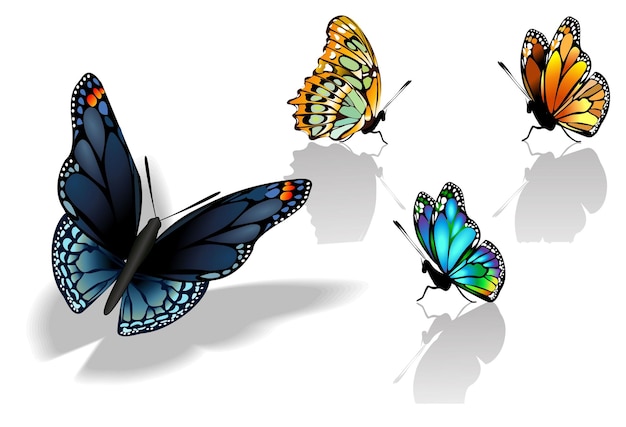 Illustrazioni di farfalle