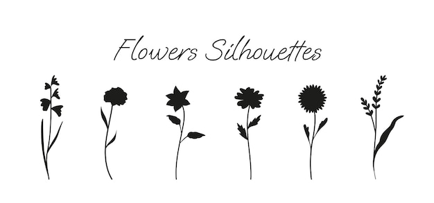 Illustrazioni di sagome di fiori