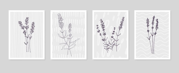 Illustrazioni dipinte a mano di lavanda per la decorazione della parete fiore minimalista in stile schizzo