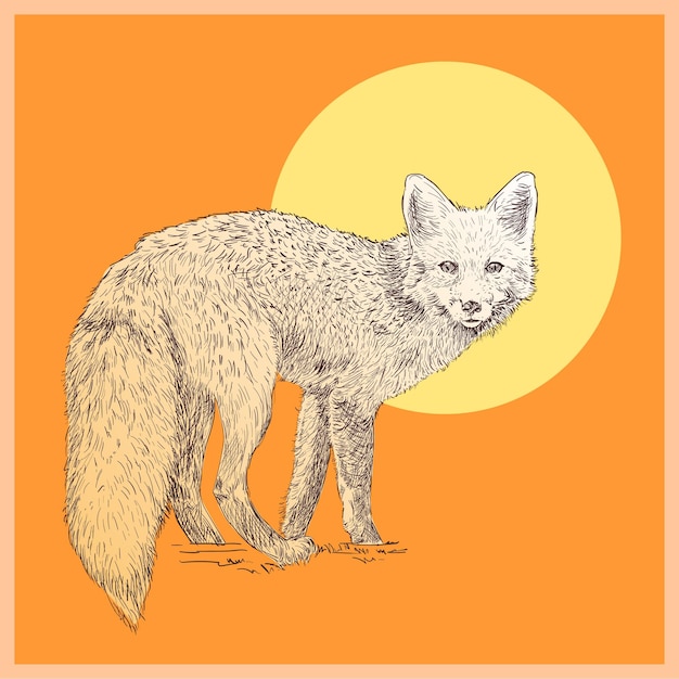 Illustrazioni disegnate a linee di animali