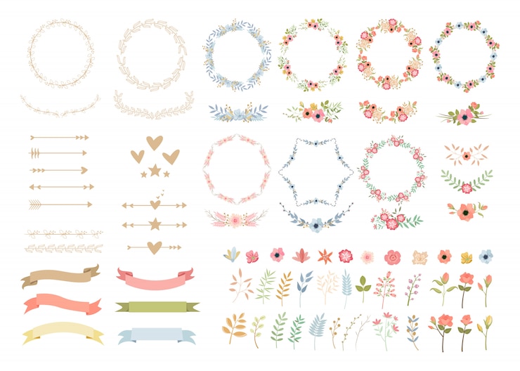 Illustrazioni variopinte della decorazione elegante dei fiori di nozze messe