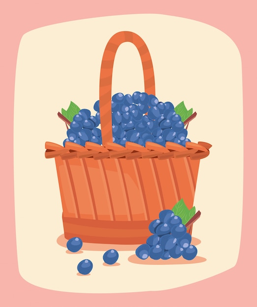 Ilustration del canestro della frutta fresca dell'uva