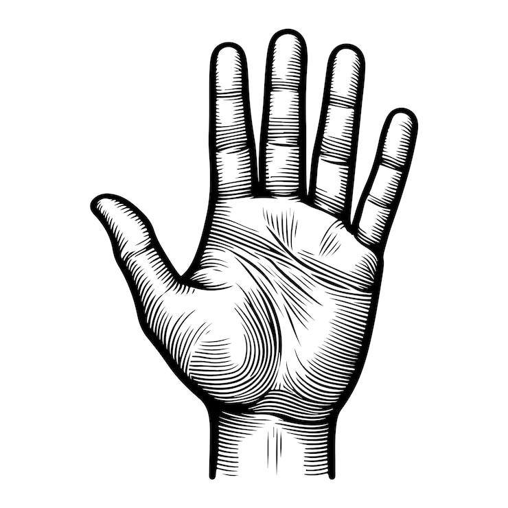 Vettore immagine del contorno del palmo della mano su sfondo bianco