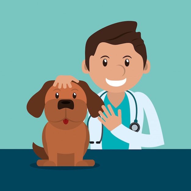 immagine di icone relative veterinario
