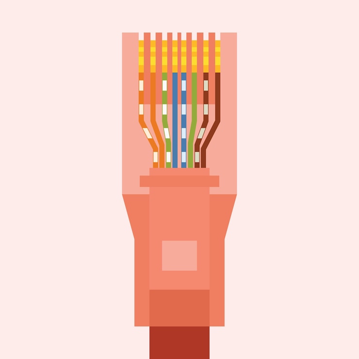 Vettore immagine vettoriale di un cavo ethernet isolato su sfondo trasparente