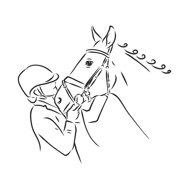 Immagine vettoriale di un disegno della testa di cavallo su sfondo bianco, logo del cavallo. Animali selvaggi. Illustrazione vettoriale. Icona. ritratto di un cavallo, illustrazione di schizzo vettoriale