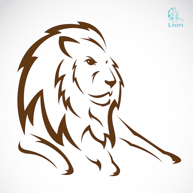 Immagine vettoriale di un leone su sfondo bianco