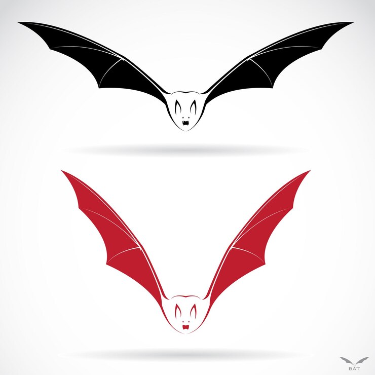 Vettore immagine vettoriale di un pipistrello su sfondo bianco