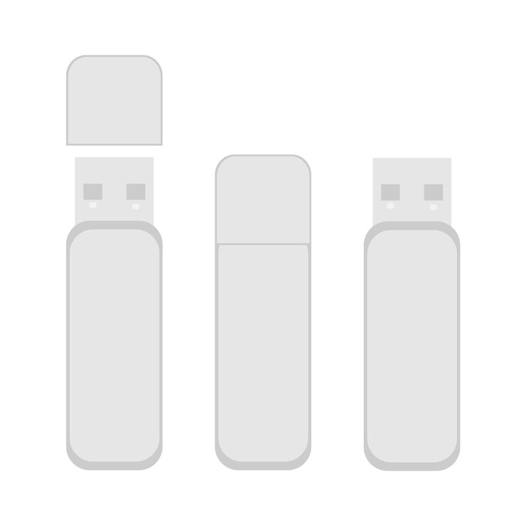 Vettore immagine vettoriale di un'unità flash