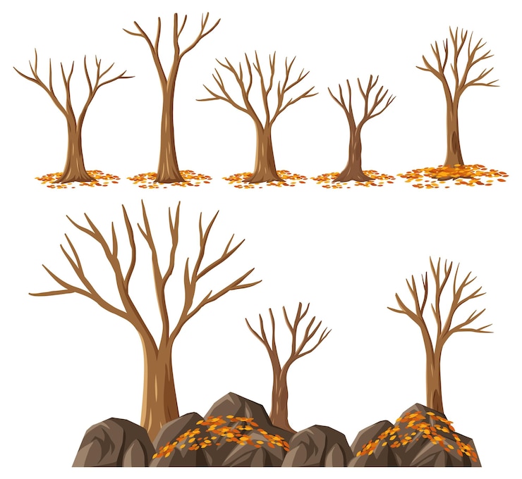 Vettore imposta albero senza foglie