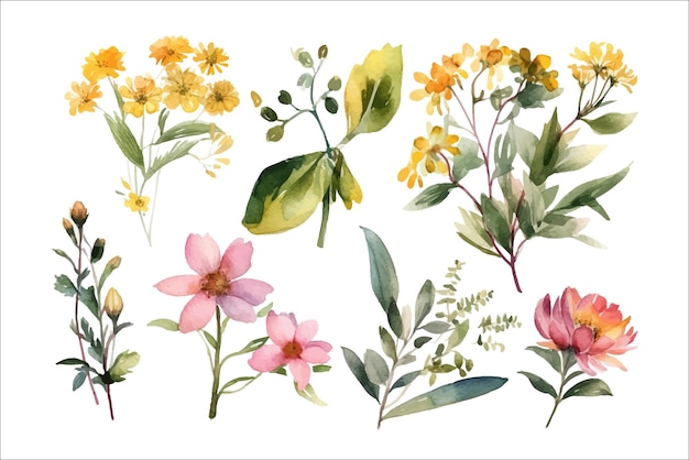 Impostare arrangiamenti ad acquerello con fiori da giardino Modello di elementi floreali decorativi Illustrazione di cartone animato piatto isolata su sfondo bianco