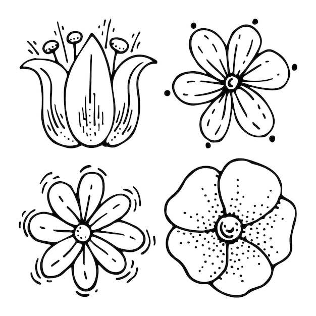 Impostare boccioli di fiori camomilla daisy tulip lily Fiori di prato selvatico Illustrazione del doodle disegnato a mano