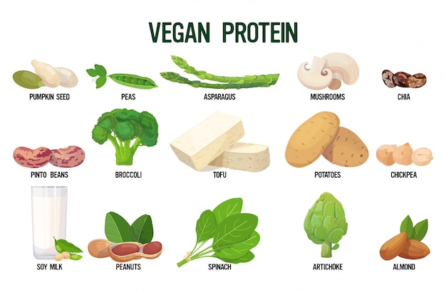 impostare fonti vegane di raccolta di alimenti vegetariani biologici freschi proteici isolati