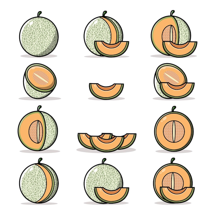 impostare il melone