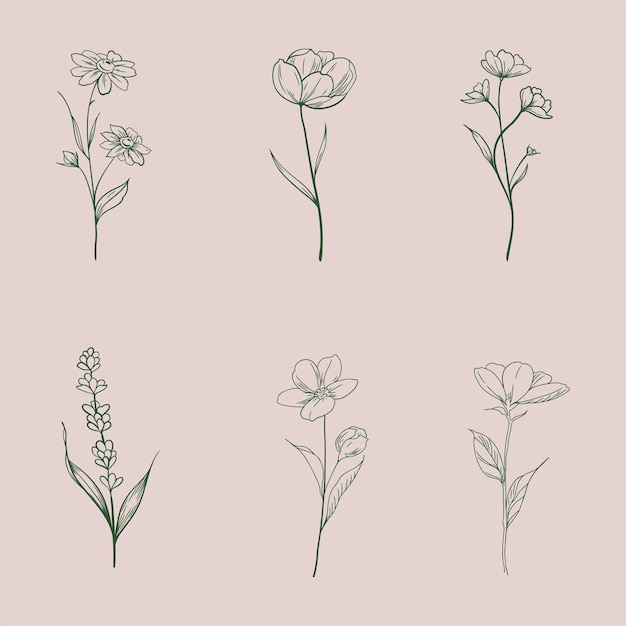 Impostare rami fioriti e fiori minimalisti per logo o tatuaggio