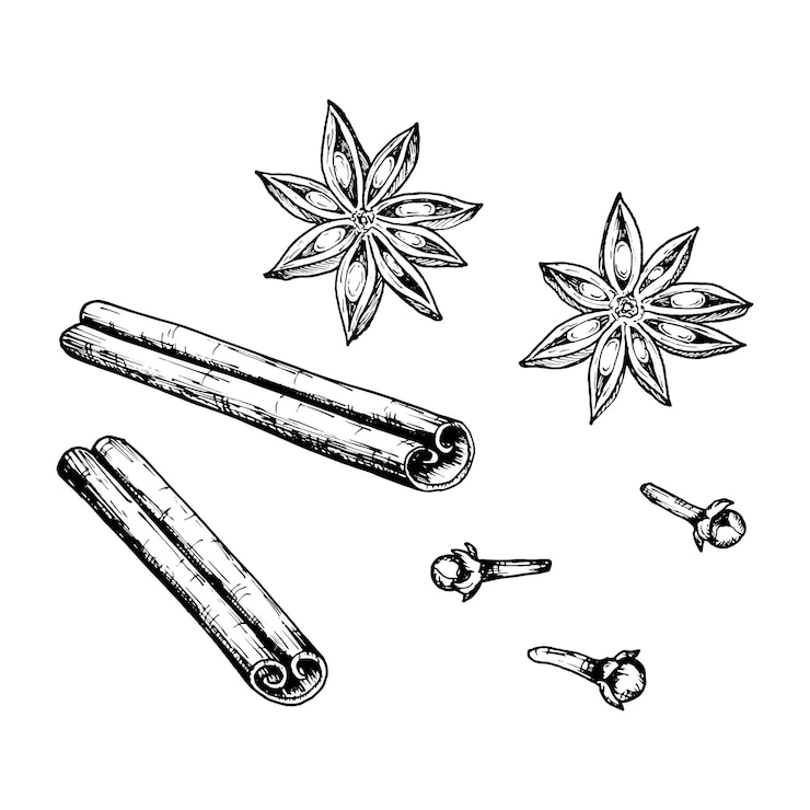 Vettore inchiostro vettoriale disegnato clippart di bastoncini di cannella anice stellato e chiodi di garofano perfetti per le vacanze di natale