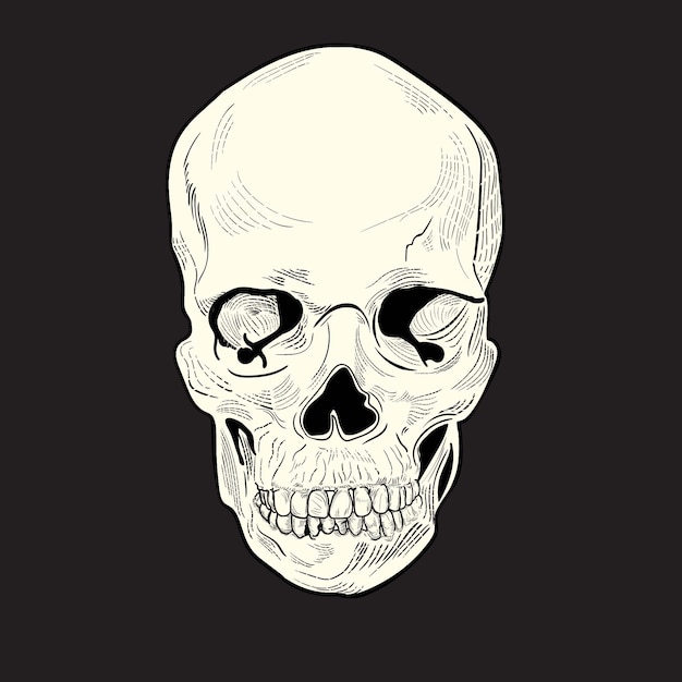 incisione di disegno del cranio