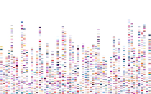 Infografica sul test del DNA Mappa della sequenza del genoma