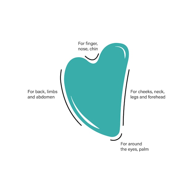 Infografica sull'utilizzo di Gua Sha. Illustrazione vettoriale. Naturale da raschietto in pietra di quarzo.